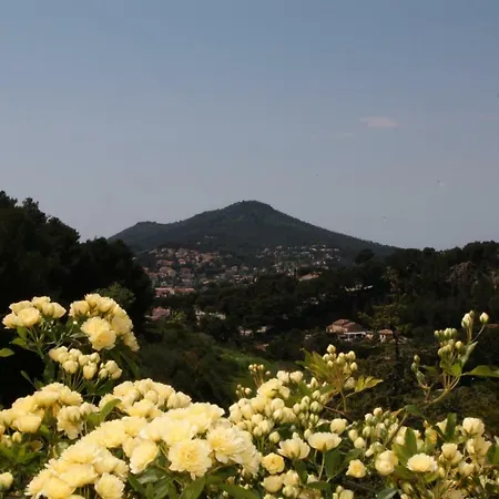 Aux Cernois Holiday home *
